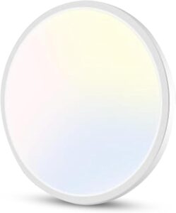 9-inch-light